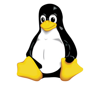 linux penguin 